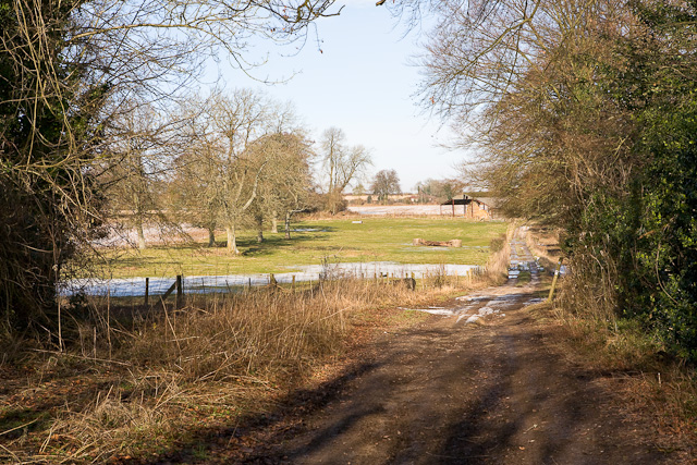 Track junction on Holden Lane, Beauworth - geograph.org.uk - 1153439