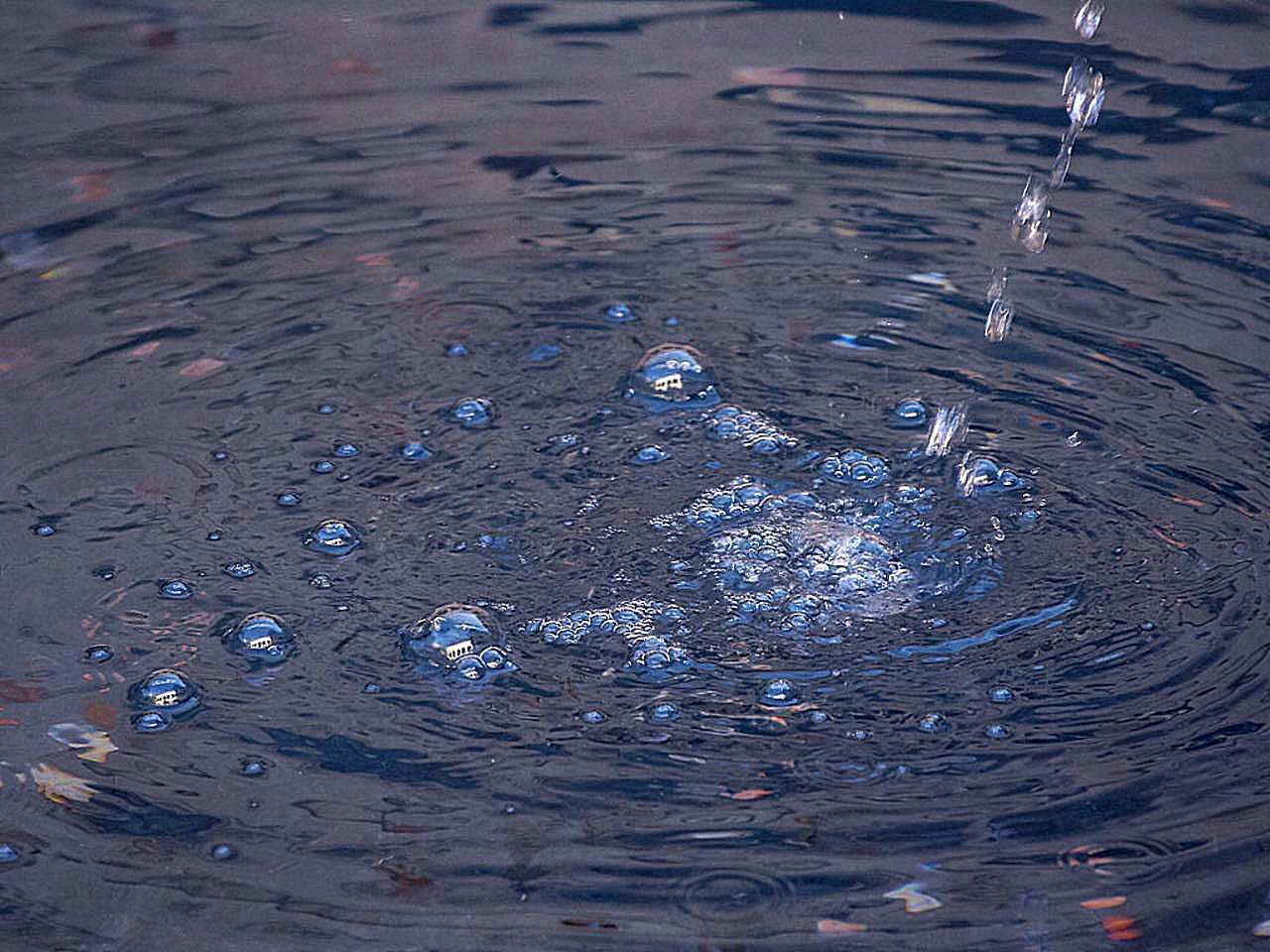 Капли дождя на воде