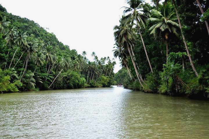 File:"A Jungle-like River Cruise".jpg