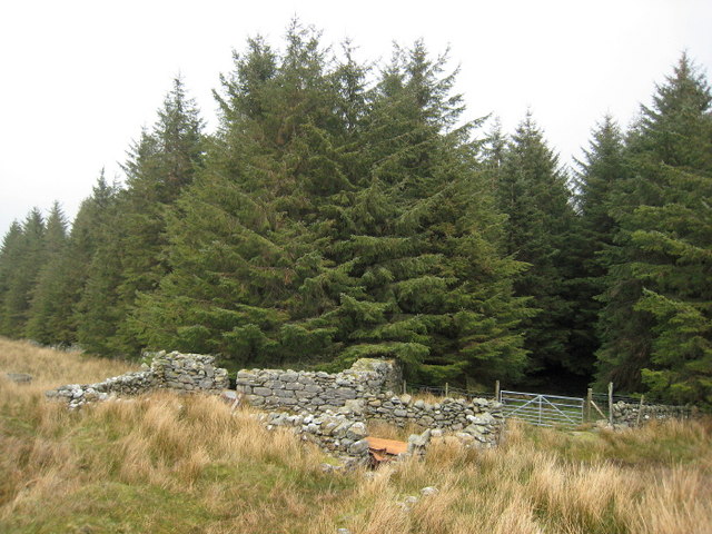 File:Adfeilion. Ruins. - geograph.org.uk - 395102.jpg