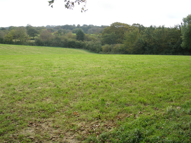 File:Autumn grass growth - geograph.org.uk - 1002085.jpg