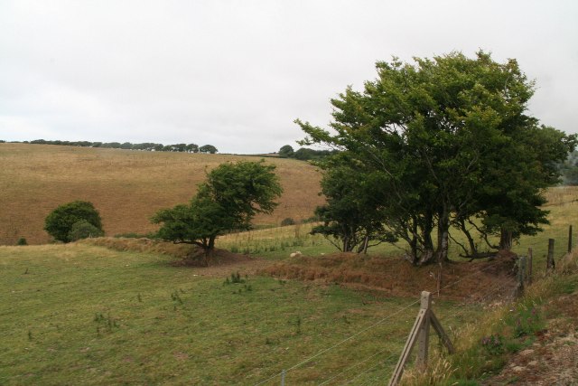 File:Banked field near Killington Lane Station on Lynton and Barnstaple Railway - geograph.org.uk - 5942217.jpg