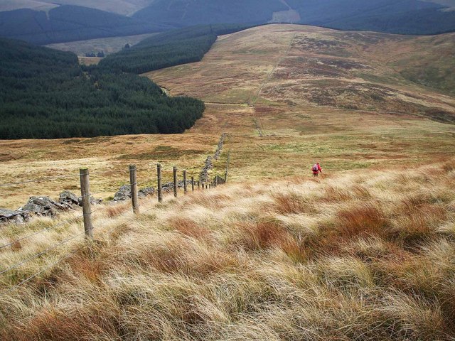 File:Descending Bodesbeck Law - geograph.org.uk - 1006494.jpg