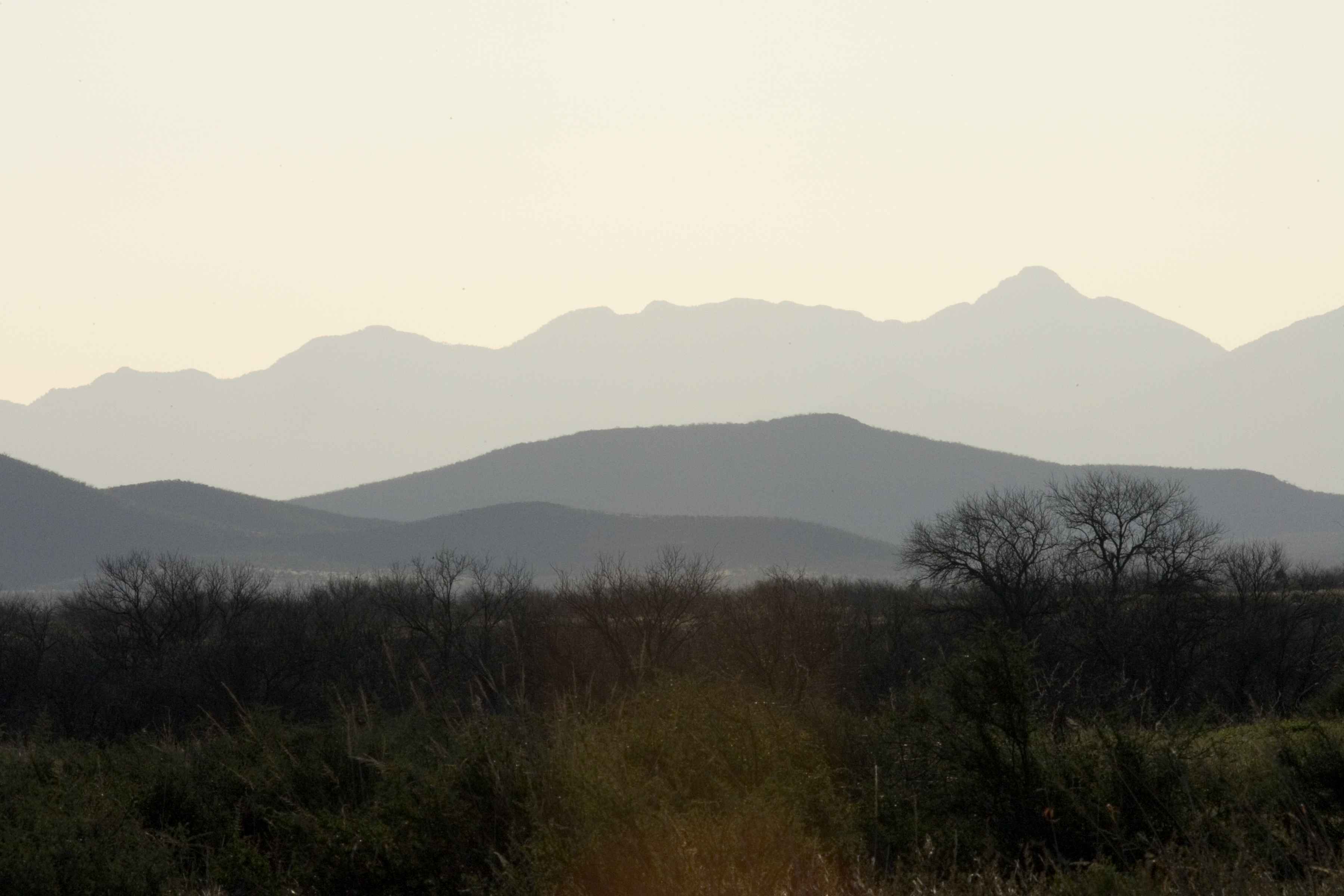 FileDesert Scenery With Mountains In Backgroundjpg Wikimedia