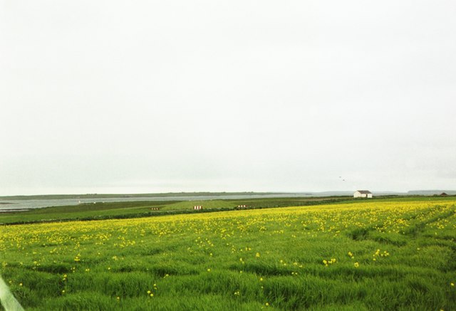 File:Fields at Westray Airfield - geograph.org.uk - 229373.jpg