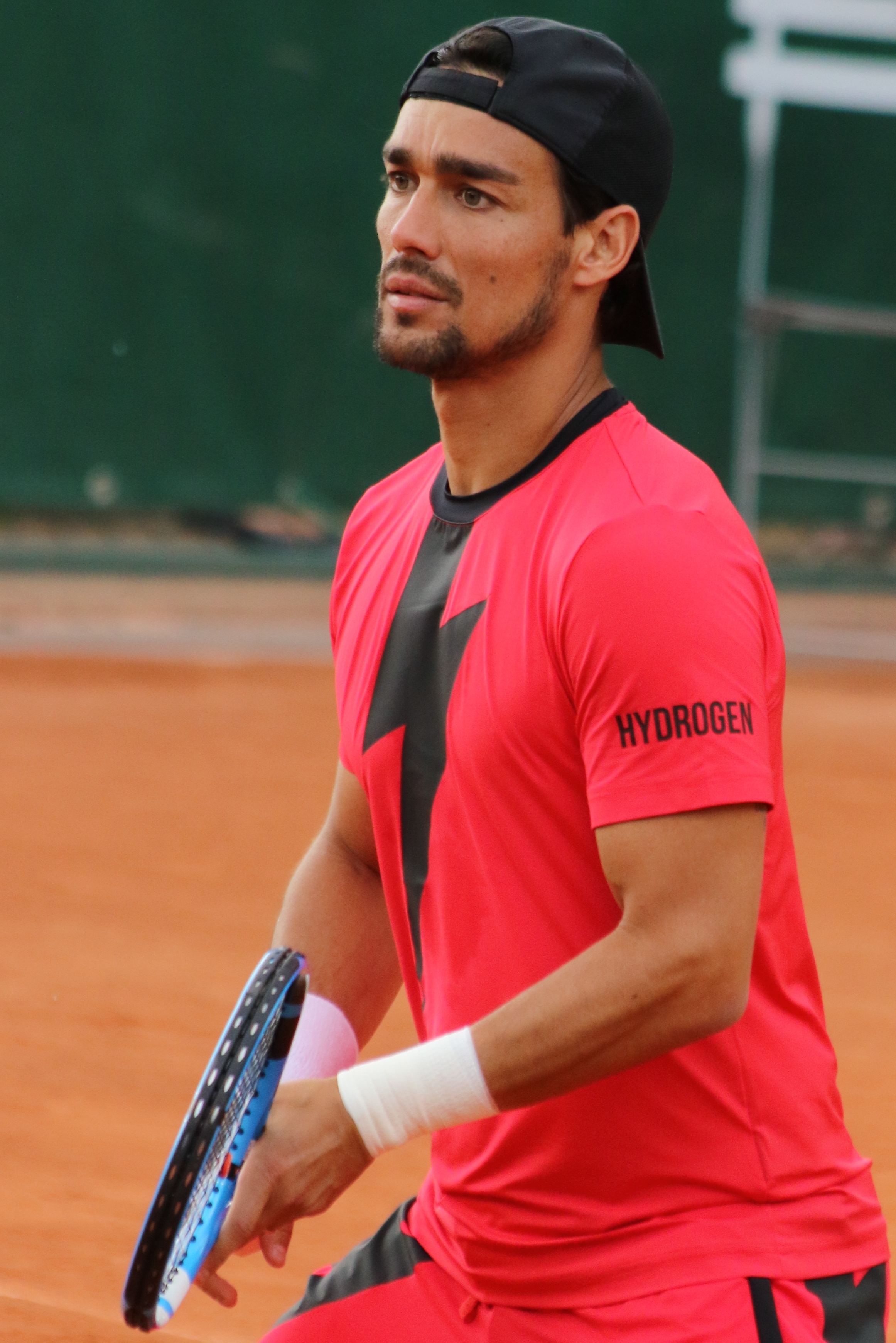 Fognini