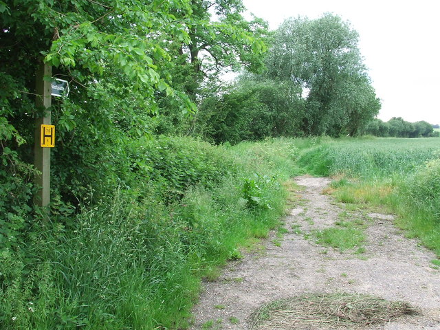 File:Footpath - geograph.org.uk - 832165.jpg