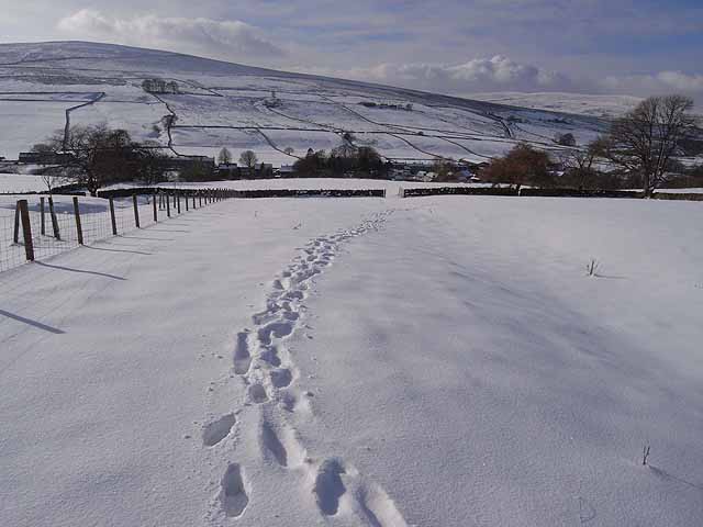File:Footprints in the snow - geograph.org.uk - 1157366.jpg