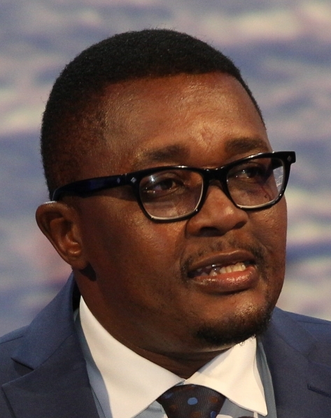 H.E. Walter Mzembi, Minister of Tourism & Hospitality Industry, Government of Zimbabwe cropped