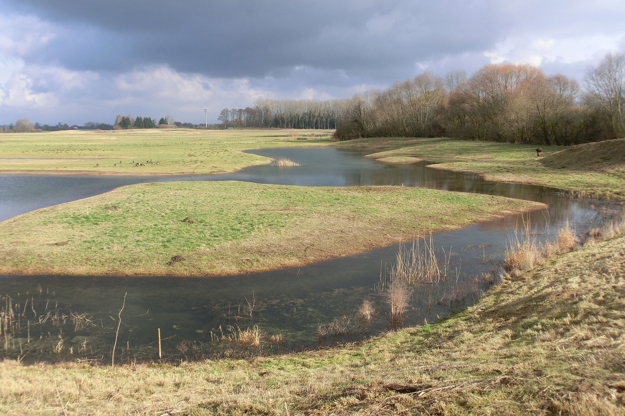 Protected area Auf dem Sand zwischen Hergershausen und Altheim in the area of Hergershäuser Wiesen (...