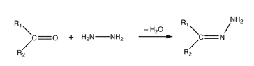 Reação de hidrazina com um composto de carbonila para formar uma hidrazona