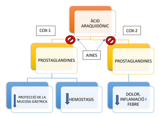 File:Inhibidores de la ciclooxigenasa imagen 2.png