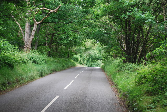 File:Little London across Shere Heath - geograph.org.uk - 3175384.jpg