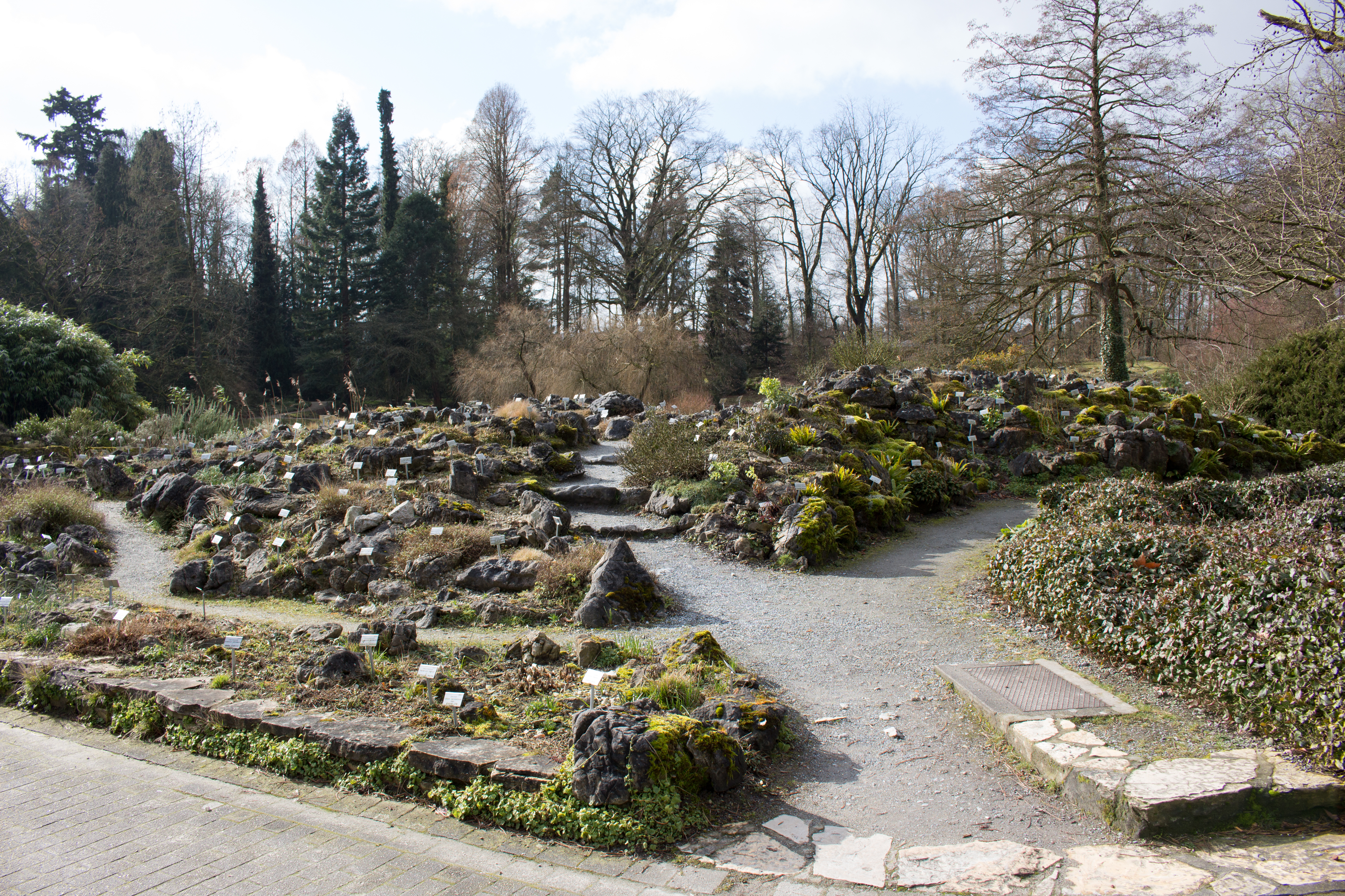 File Munster Schloss Botanischer Garten Alpinum 01 Jpg Wikimedia