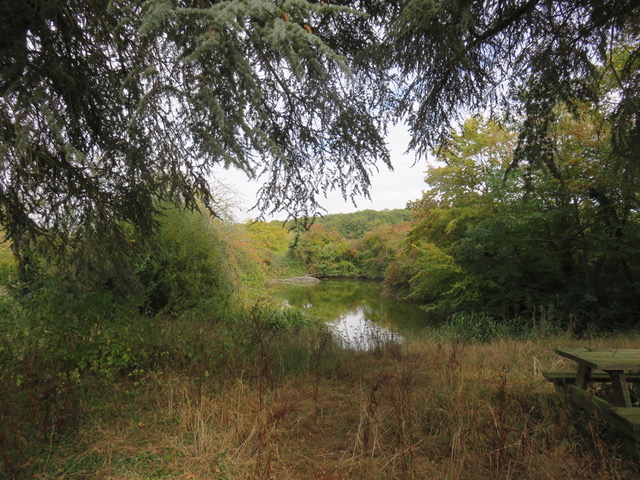 File:Mare de Tresneau dans l'Eure-et-Loir aux environs de Châteauneuf en Thymerais.jpg