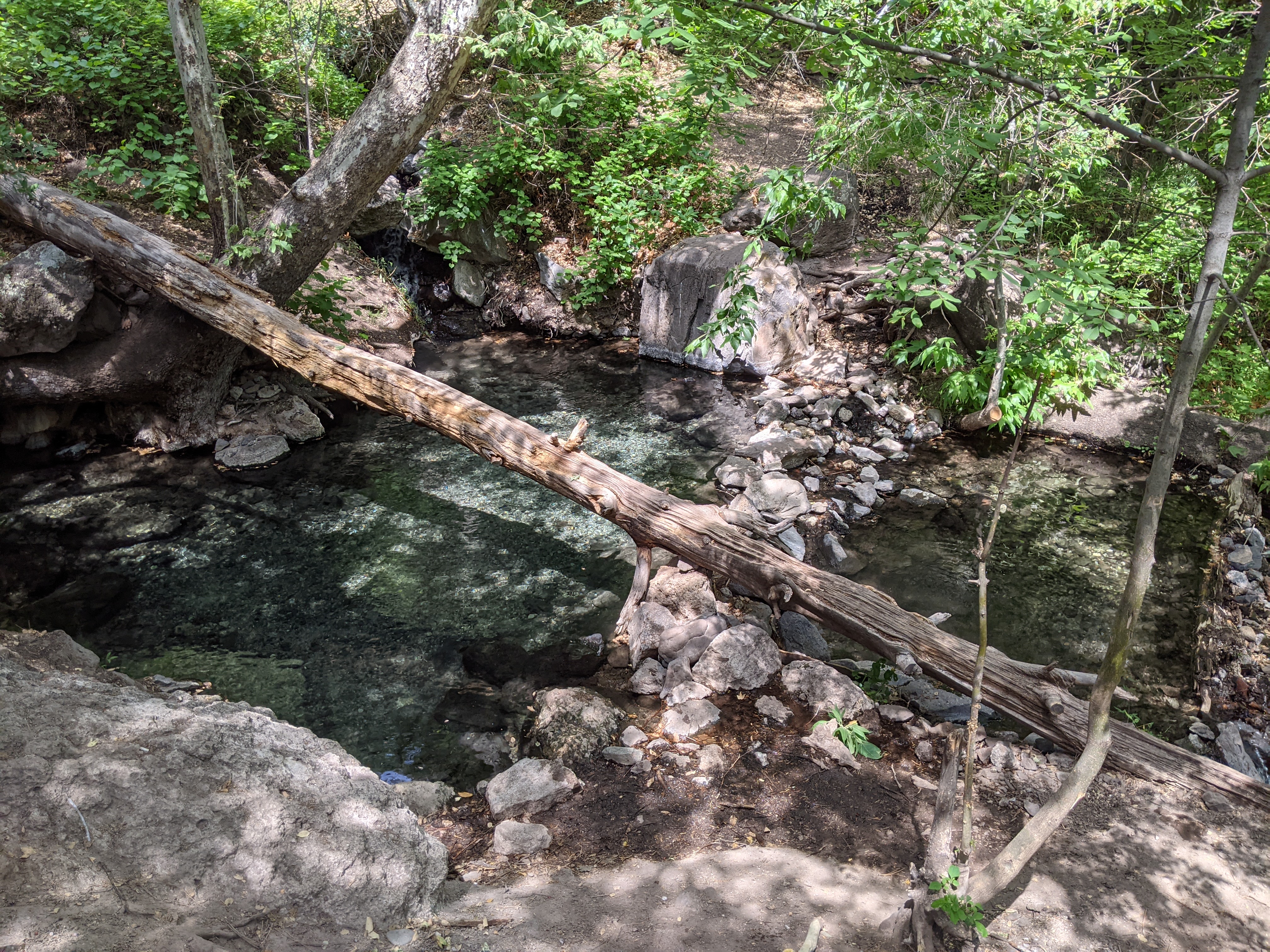Hidden Gem: Gila Hot Springs