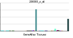 File:PBB GE PCK1 208383 s at tn.png