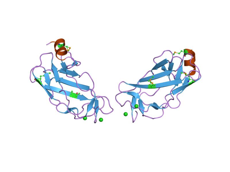 File:PDB 1eaq EBI.jpg