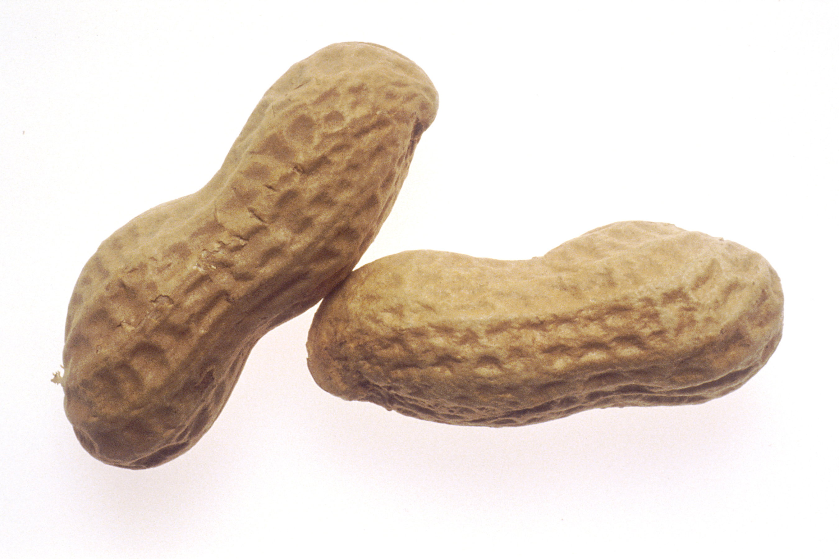 File:Peanuts (1).jpg - Wikimedia Commons