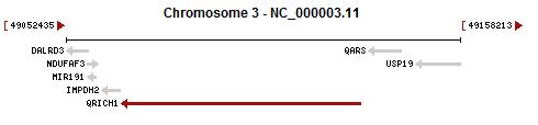 File:QRICH1 Gene Neighborhood.jpg