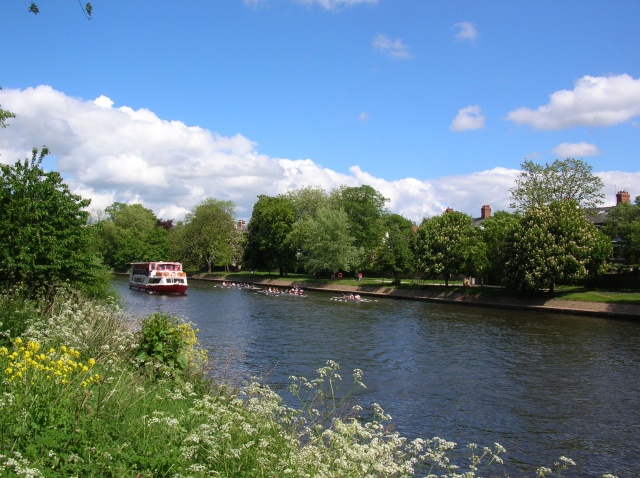 Rowers on the Ouse - geograph.org.uk - 431659