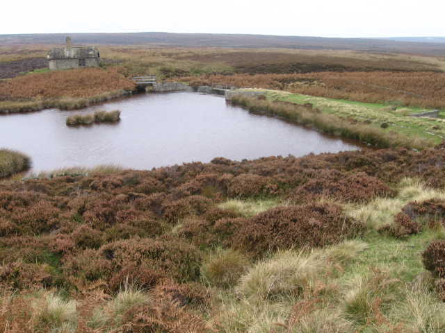 Small Reservoir on Middle Moss - geograph.org.uk - 1541870