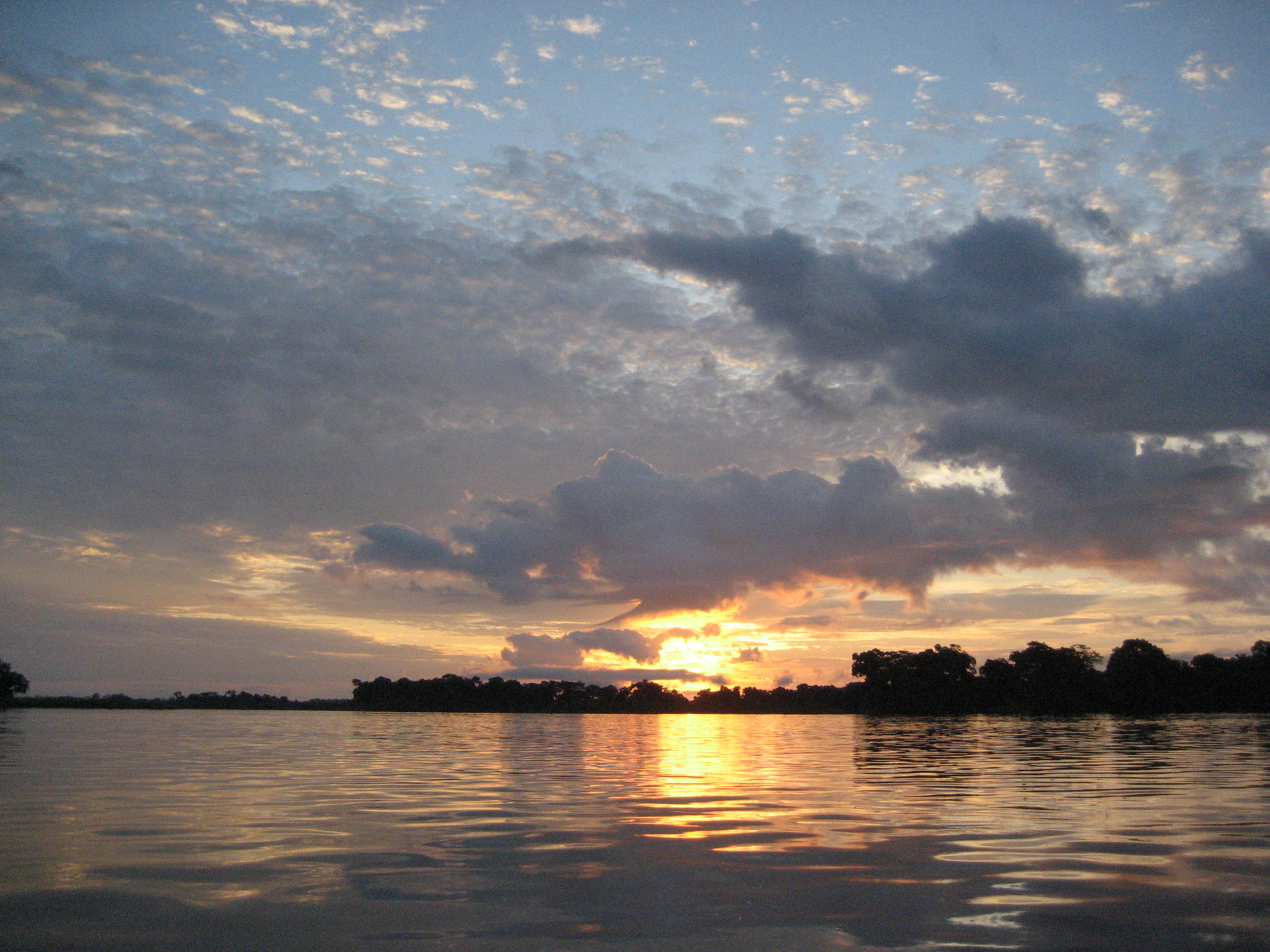 Congo lembangan Pemimpin dunia