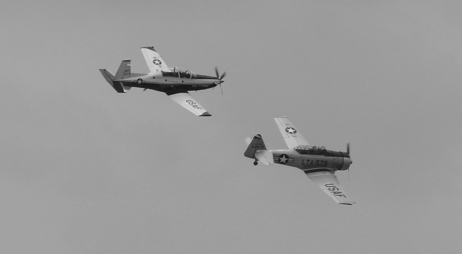 T-6 flight with black and white (354056080).jpg