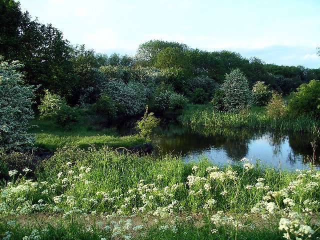 The Nottingham Canal - geograph.org.uk - 177106