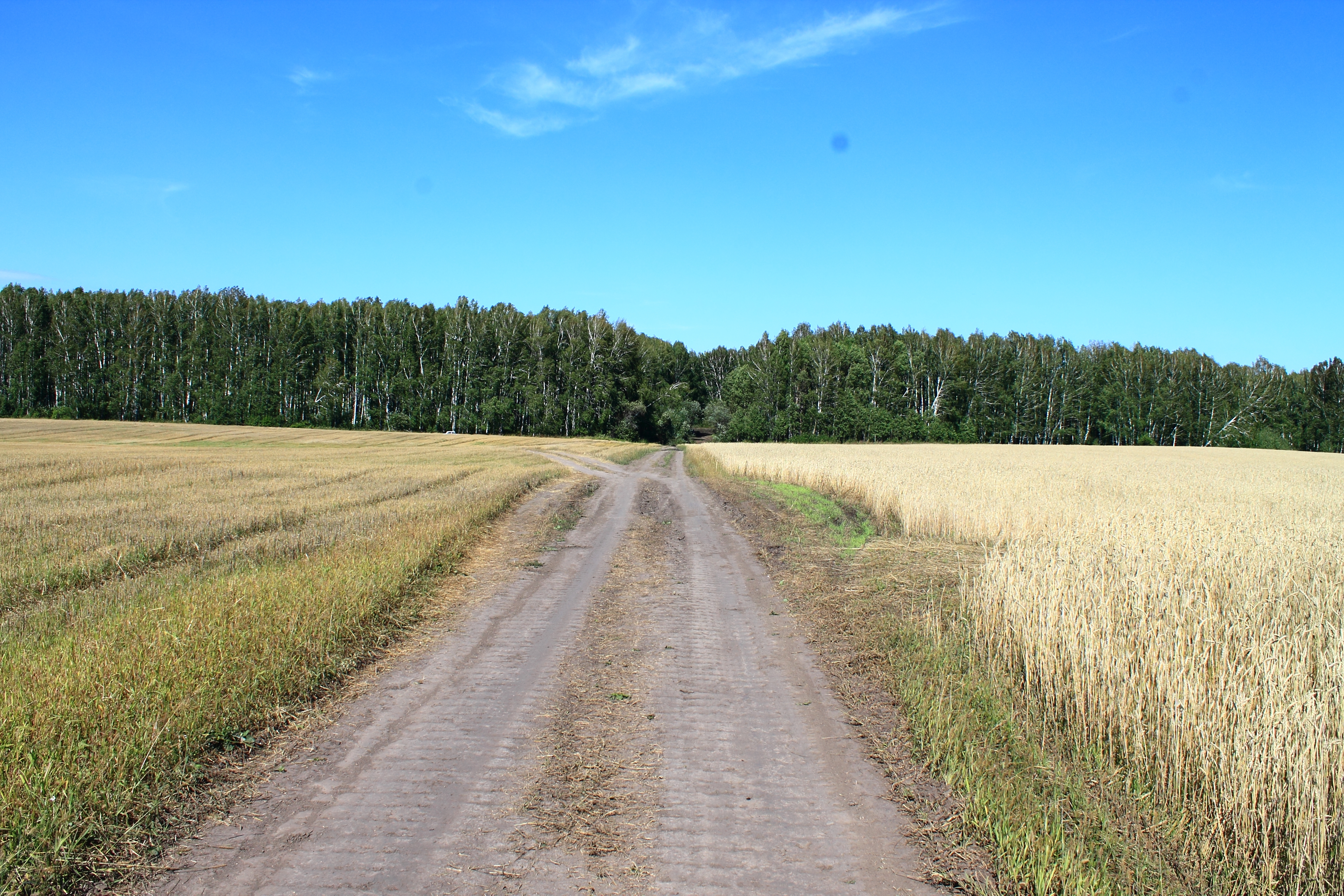 Село воробьево новосибирская область