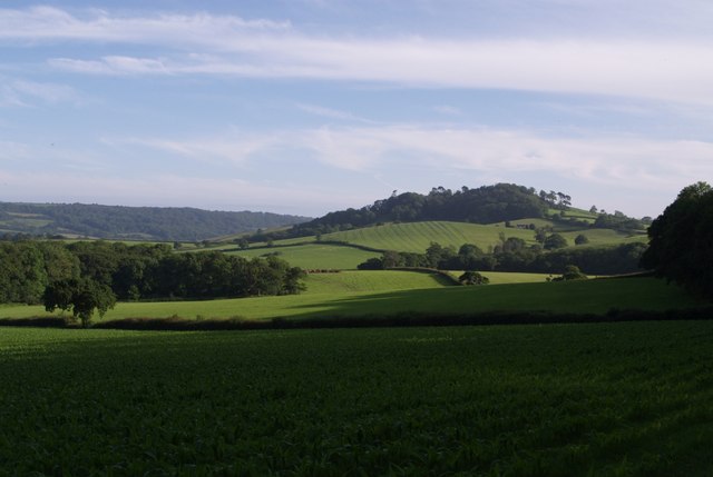 File:View towards Conegar Hill - geograph.org.uk - 478867.jpg