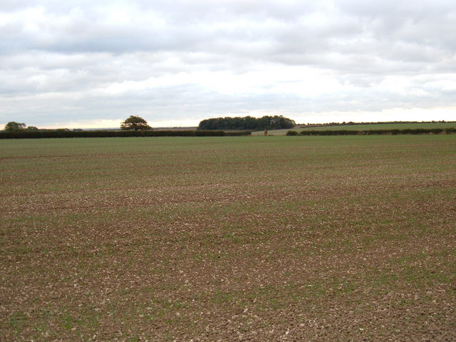 File:Wolds Farmland - geograph.org.uk - 1518970.jpg