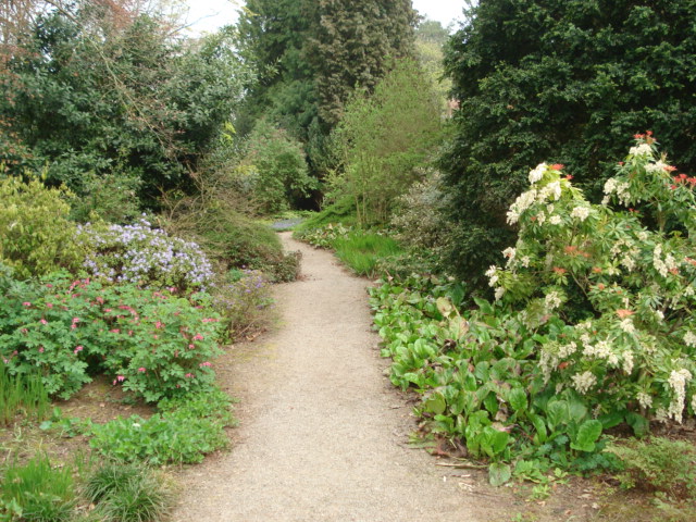 Woodland Garden at Berrington Hall - geograph.org.uk - 454601