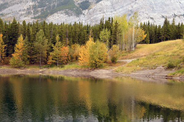 File:215fallcolor 10.jpg