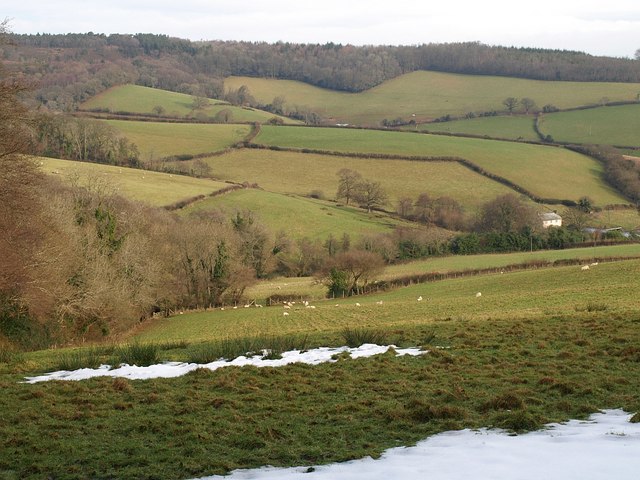 File:Aller Brook valley - geograph.org.uk - 1166688.jpg