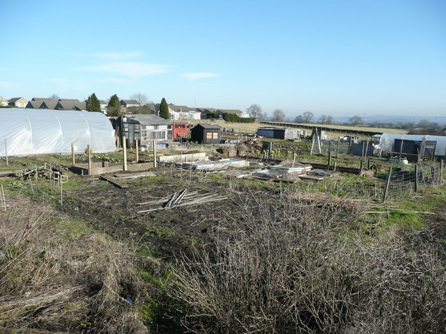 File:Allotments at High Etherley - geograph.org.uk - 696100.jpg