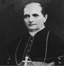 Peter Joseph Baltes 19th-century Catholic bishop