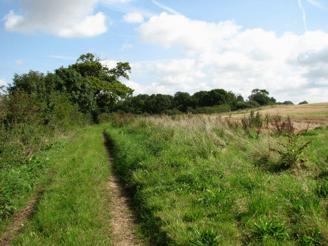 File:Bridleway and conservation walk to Turf Common Plantation - geograph.org.uk - 550690.jpg