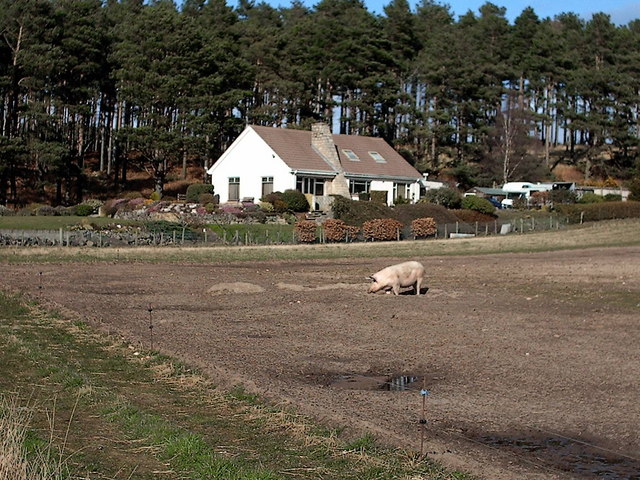 File:Clinbaht near Lhanbryde - geograph.org.uk - 153021.jpg