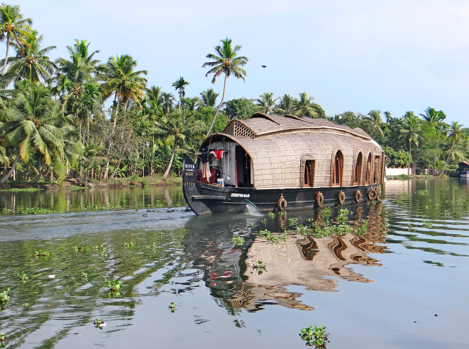 Dans_les_Backwaters_%28Kerala%2C_Inde%29_%2813711969194%29