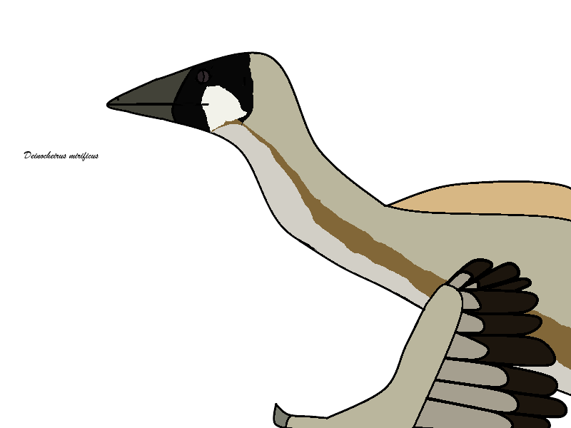 File:Deinocheirus UDL.png - Wikipedia