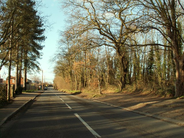 File:Dobbs Lane looking north - geograph.org.uk - 327513.jpg