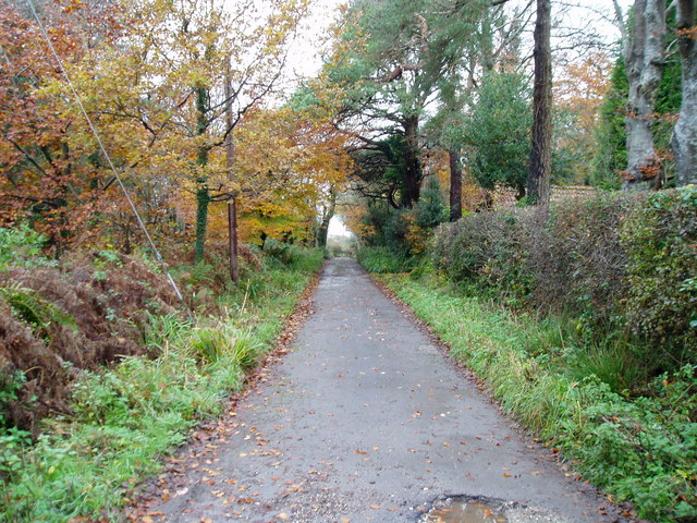 East Devon Way - geograph.org.uk - 1066536