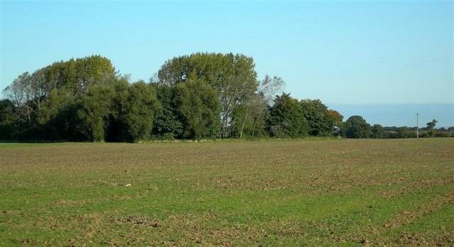 File:Fields And Trees - geograph.org.uk - 989740.jpg