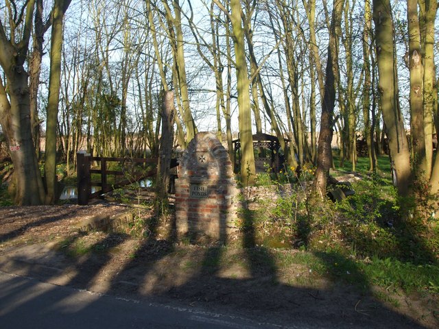 File:Fishponds Plantation - geograph.org.uk - 1230829.jpg