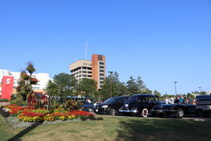 File:Flowers in Oshawa IMG 2114 (29753232228).jpg