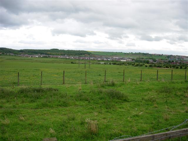 Herrington Country Park and New Herrington village - geograph.org.uk - 176047