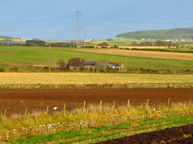 File:Howe of Anguston - geograph.org.uk - 661084.jpg