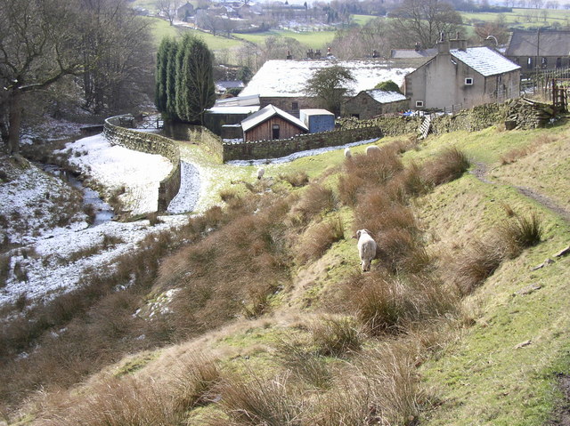 Hurstwood Brook - geograph.org.uk - 657422