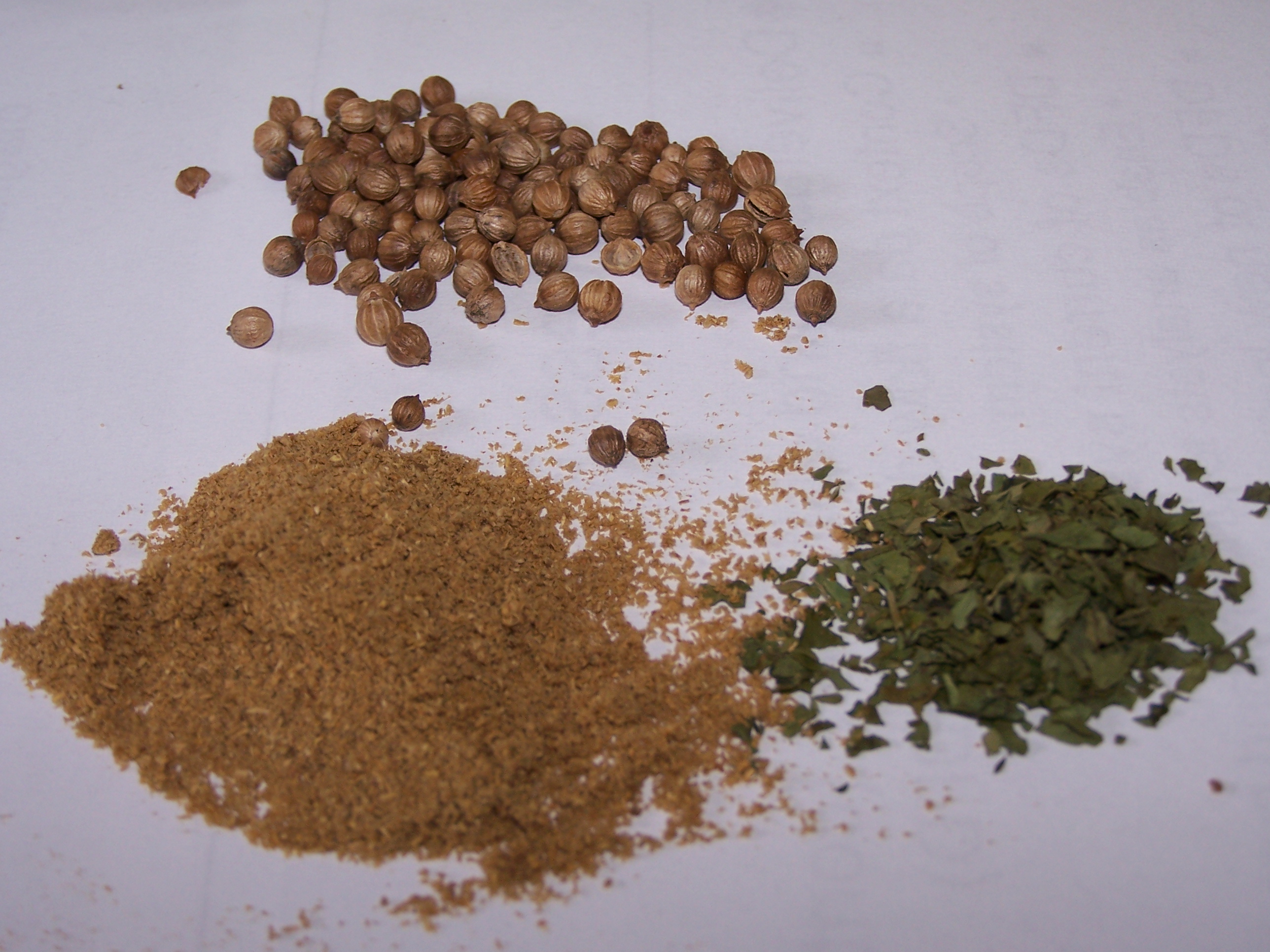 Coriander (Cilantro) Is More Than Just An Aromatic Herb
